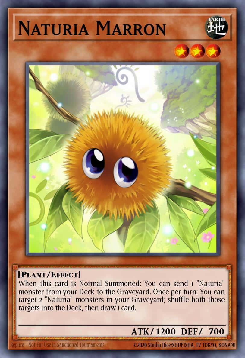 Naturia Marron PHSW-EN029 Common Yu-Gi-Oh! kartı